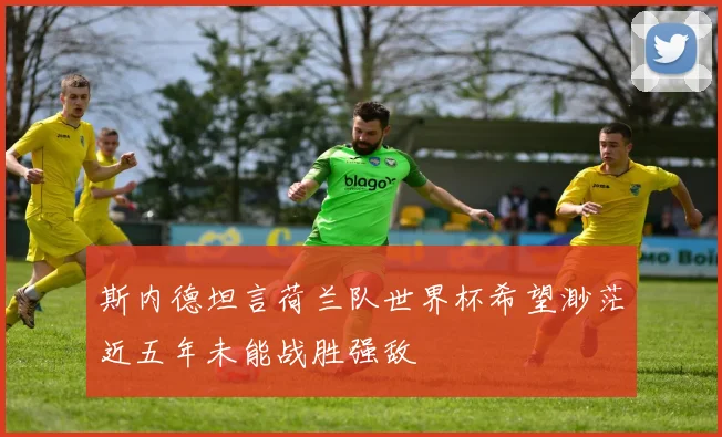 斯内德坦言荷兰队世界杯希望渺茫近五年未能战胜强敌