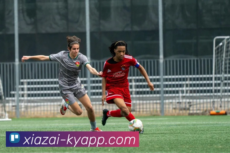 开云体育服务体系