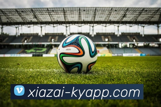 多媒体互动体验